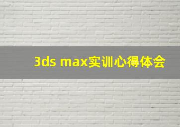 3ds max实训心得体会